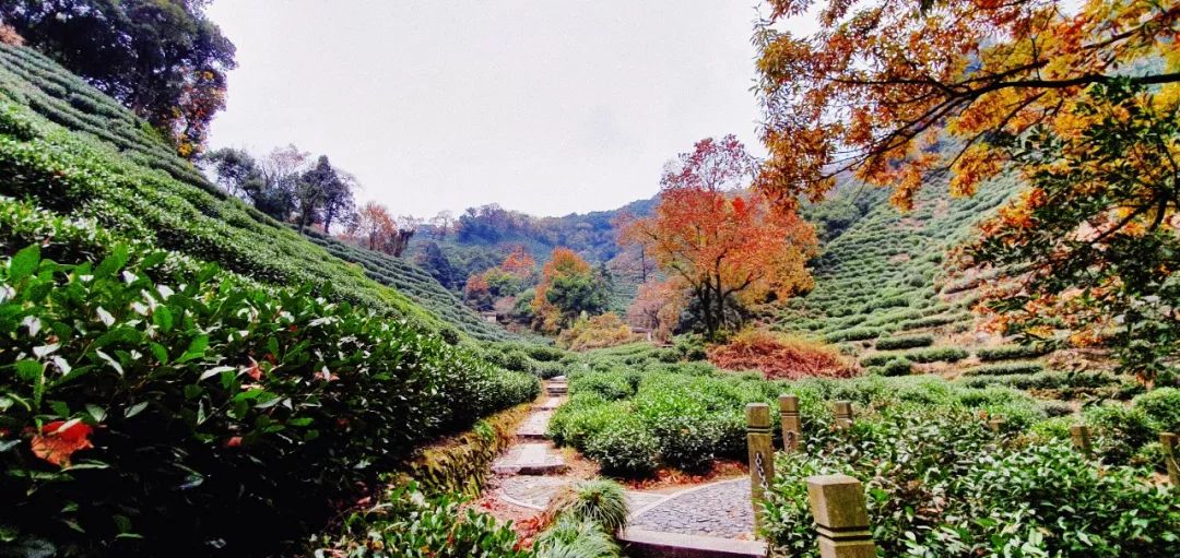 推荐冬天买的毛衣,秋冬平价毛衣推荐