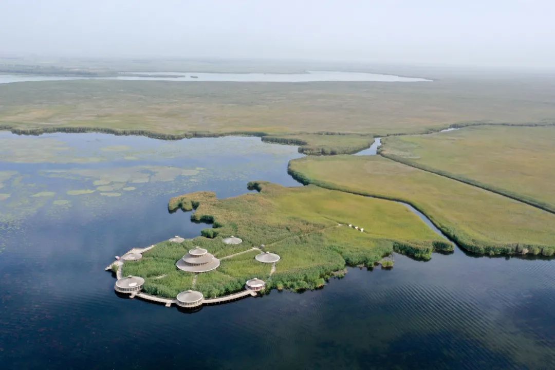 宣言中华民族,光荣属于英雄的中国人民