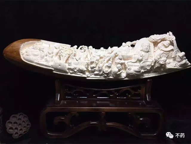 猛犸象牙为什么有这么多,猛犸象的象牙为什么不能丢