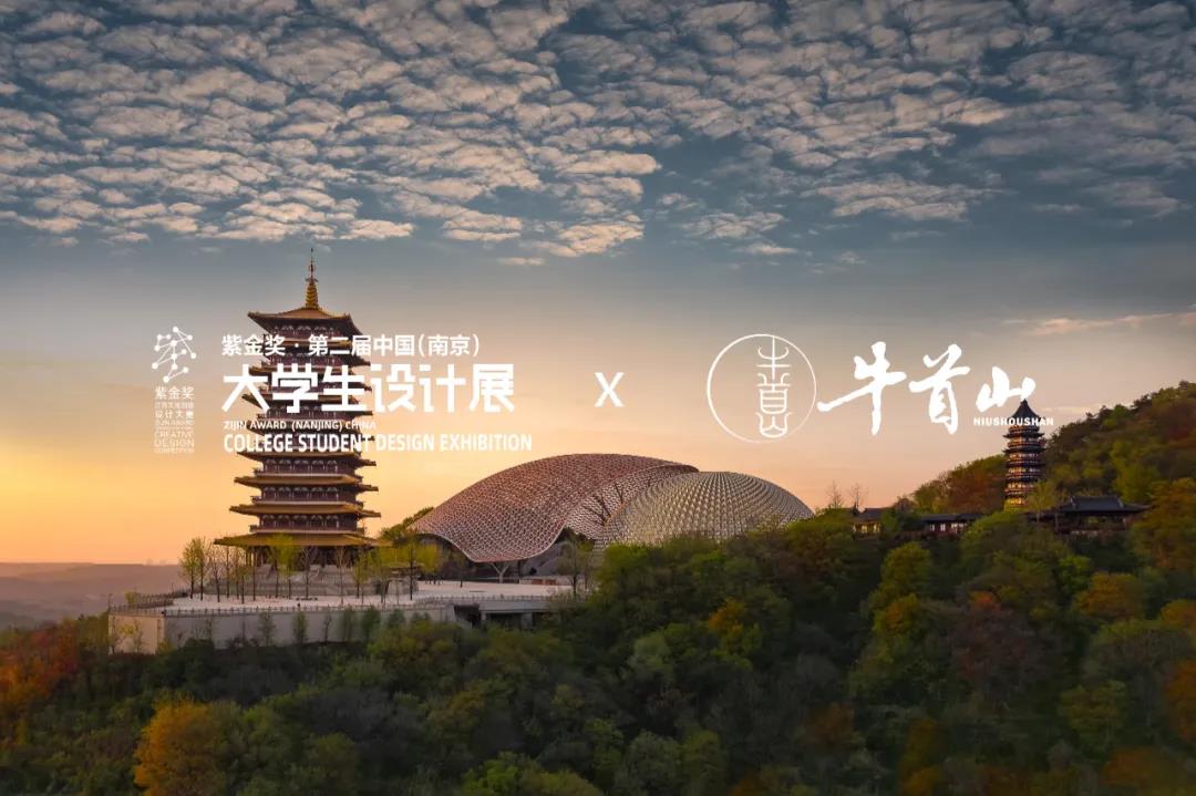 首届南京大学生设计展,紫金奖中国大学生设计展作品