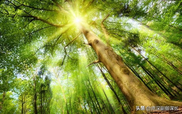 写给王焯冉家人的一封信,写给亲人的一封信原生家庭