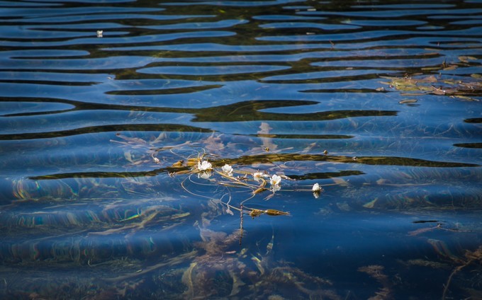 消失的地平线上的“香巴拉”和“女儿国”（二）