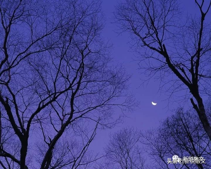 临近春节，又该掸尘了，父母去世后，老家已有三年时间没清扫过了