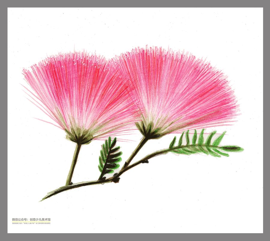 彩铅花卉作品临摹素材,动漫人物彩铅素材图片