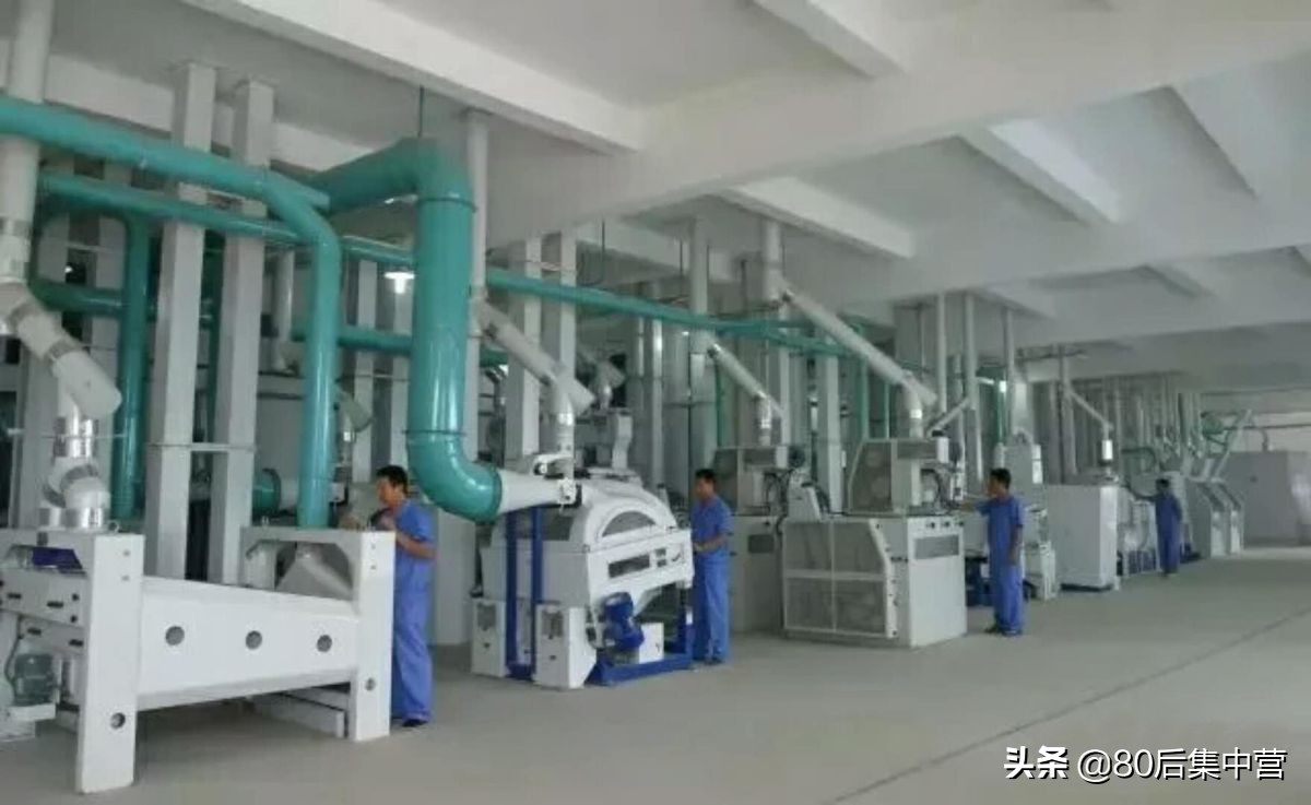 蟹稻共生米和普通大米的区别,蟹稻香大米