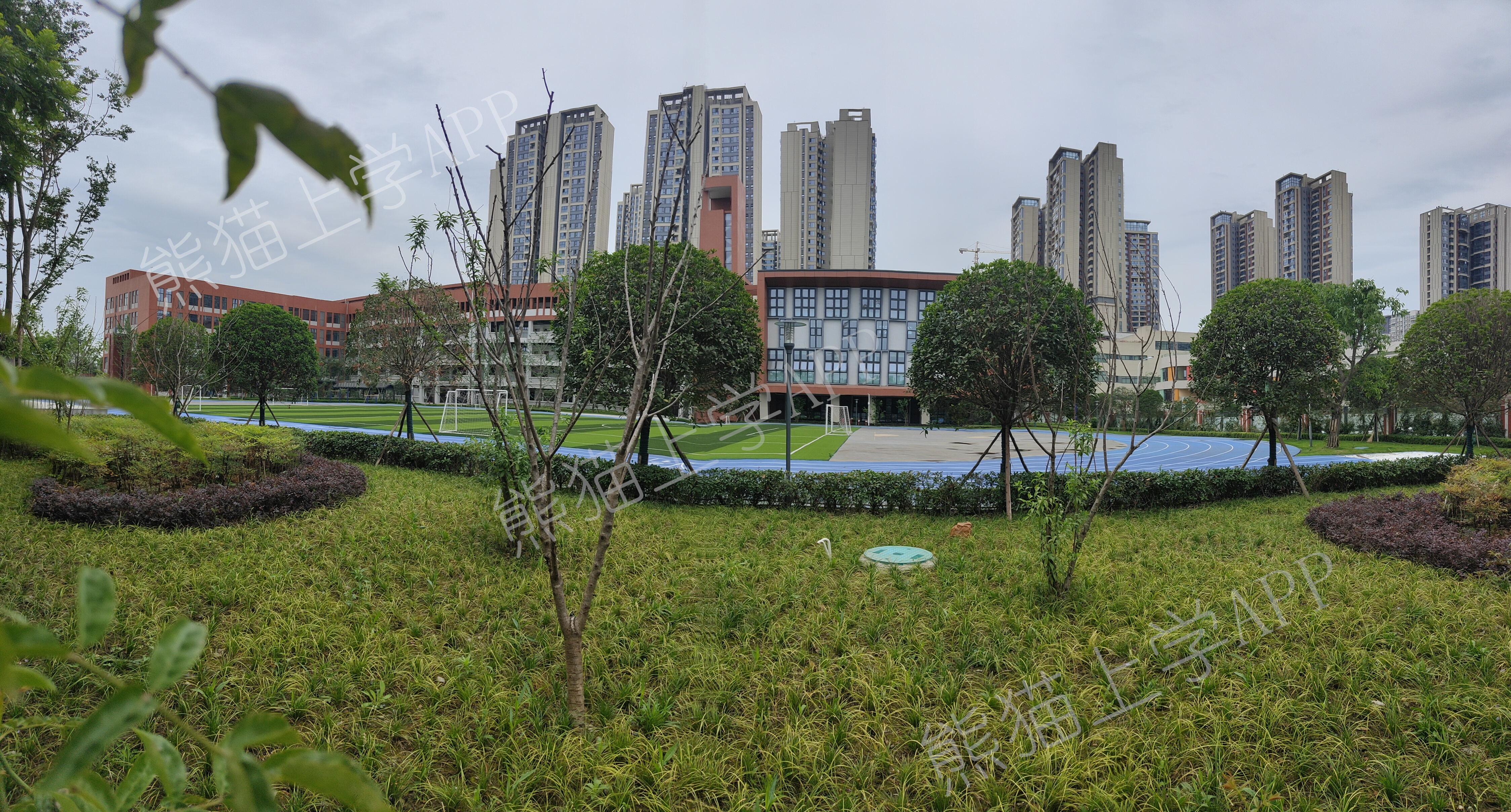 成华小学蜀都校区排名,成华小学蜀都分校是私立吗