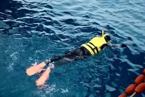 惠州双月湾网红景点,惠州双月湾景点介绍