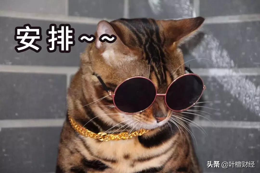 不能错过分析师深刻反思我为什么错过了这家好公司？|檀公司