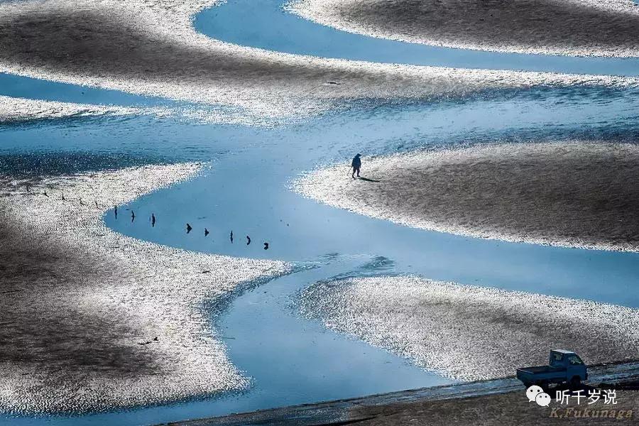 日本东京熊本熊,日本熊本游