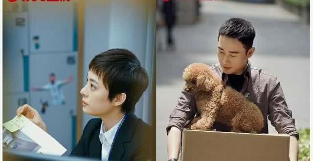 安家讲了什么样的故事,安家每个故事都是真实的么