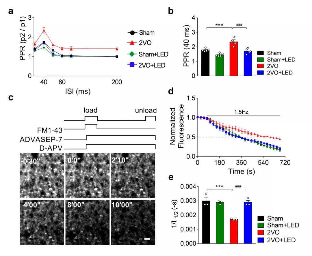 南科大教授讲座视频,南科大侯圣陶团队
