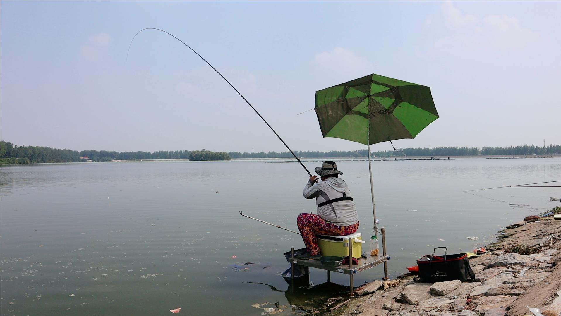 野钓轻量大物竿有没有必要买,最值得钓友入手的大物竿