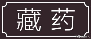 各县道地药材,道地药材重点区域