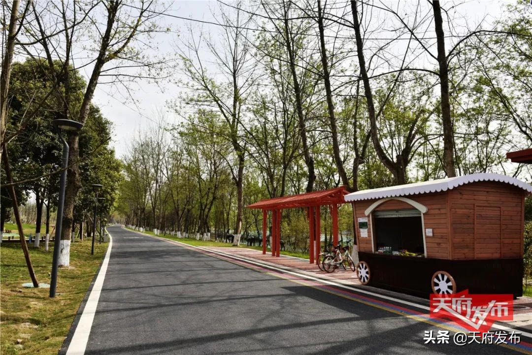 世警会准备什么,世警赛赛程2023