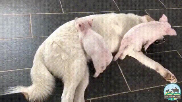 真心话大冒险输了剧情,真心话大冒险认真就输了