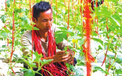 最美不过春耕图,最美不过春天的花草树木