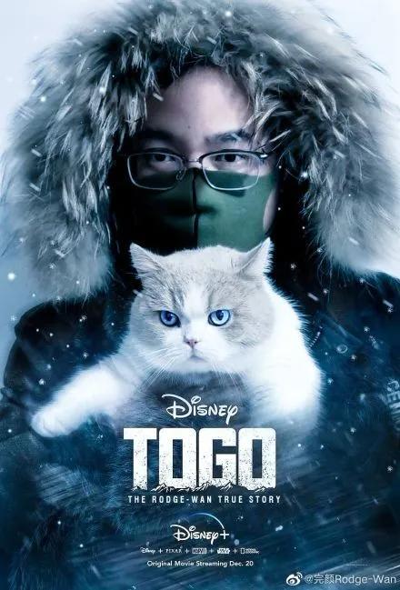 网友做的电视剧海报,让人惊艳的电影海报