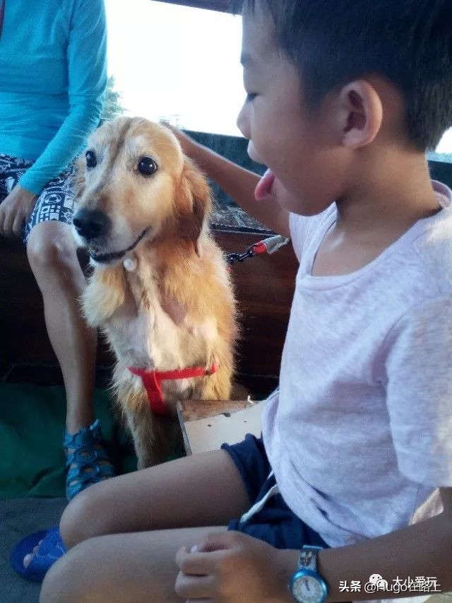 香港亲子游图文攻略图片大全,去香港亲子旅行攻略路线图片