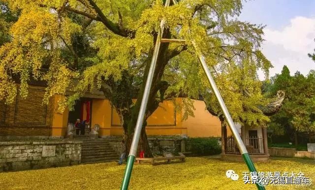 无锡唯有美食与你不可辜负,无锡夏日特色美食有哪些