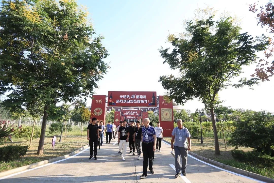 民权葡萄酒现状,天明民权葡萄酒的未来