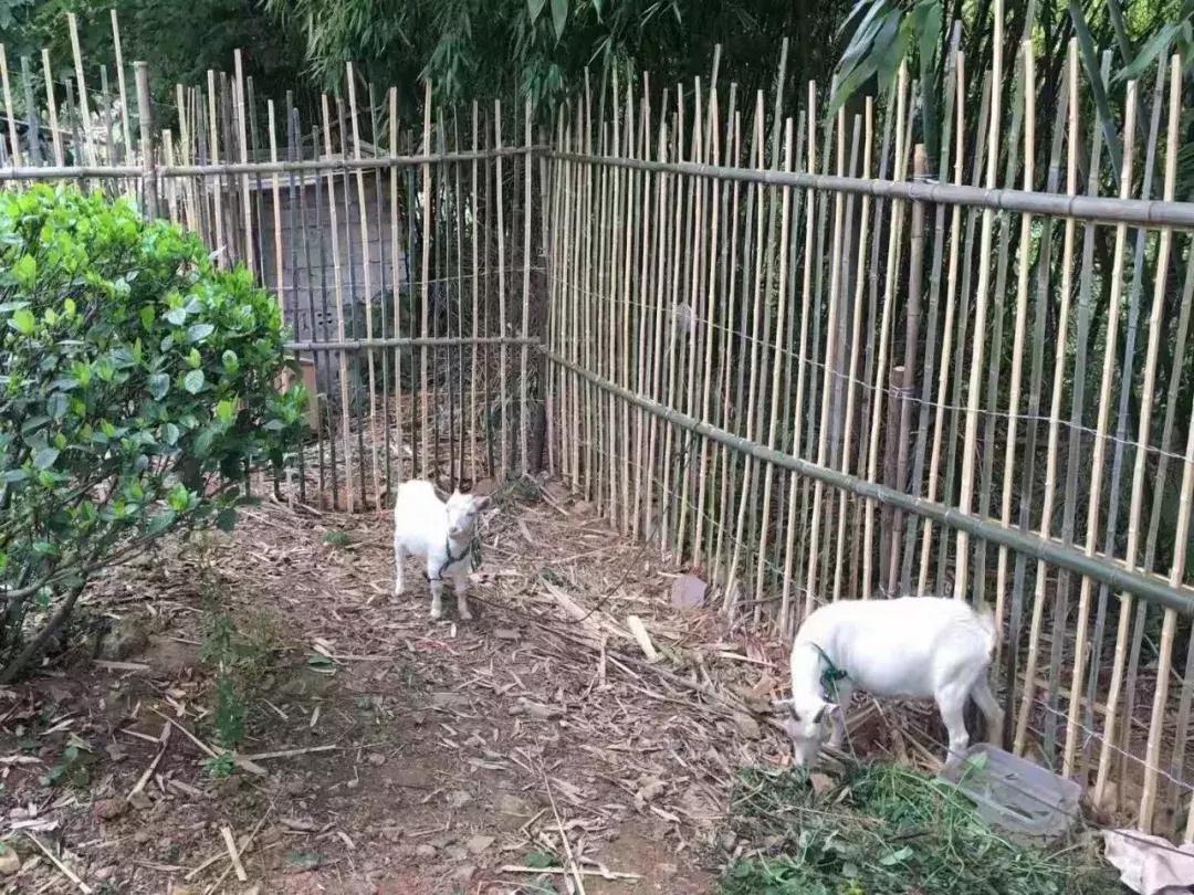 宜兴山里亲子酒店,宜兴山里的酒店