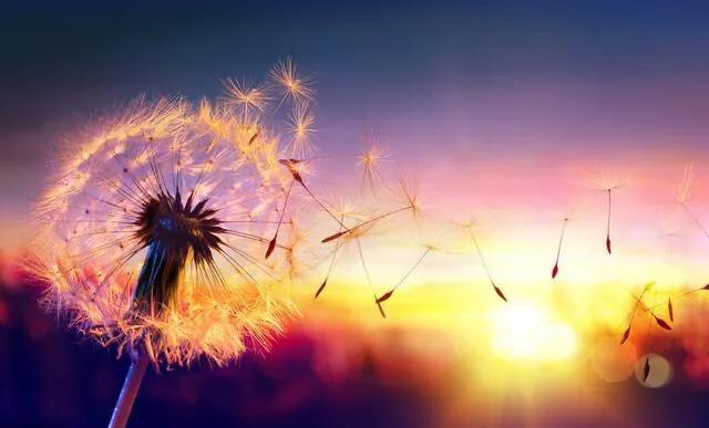 不屈从于现实活出你的真我,当今社会人要活得现实点