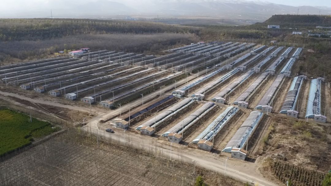 不可思议今非昔比,雁门关外的真相