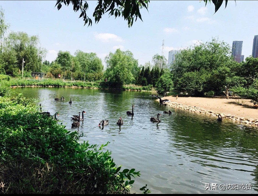 南昌五一周边野餐,五一放假别乱跑