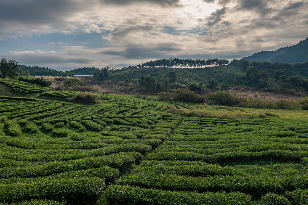 藏在福建漳州南靖的世外桃源,南靖世外桃源