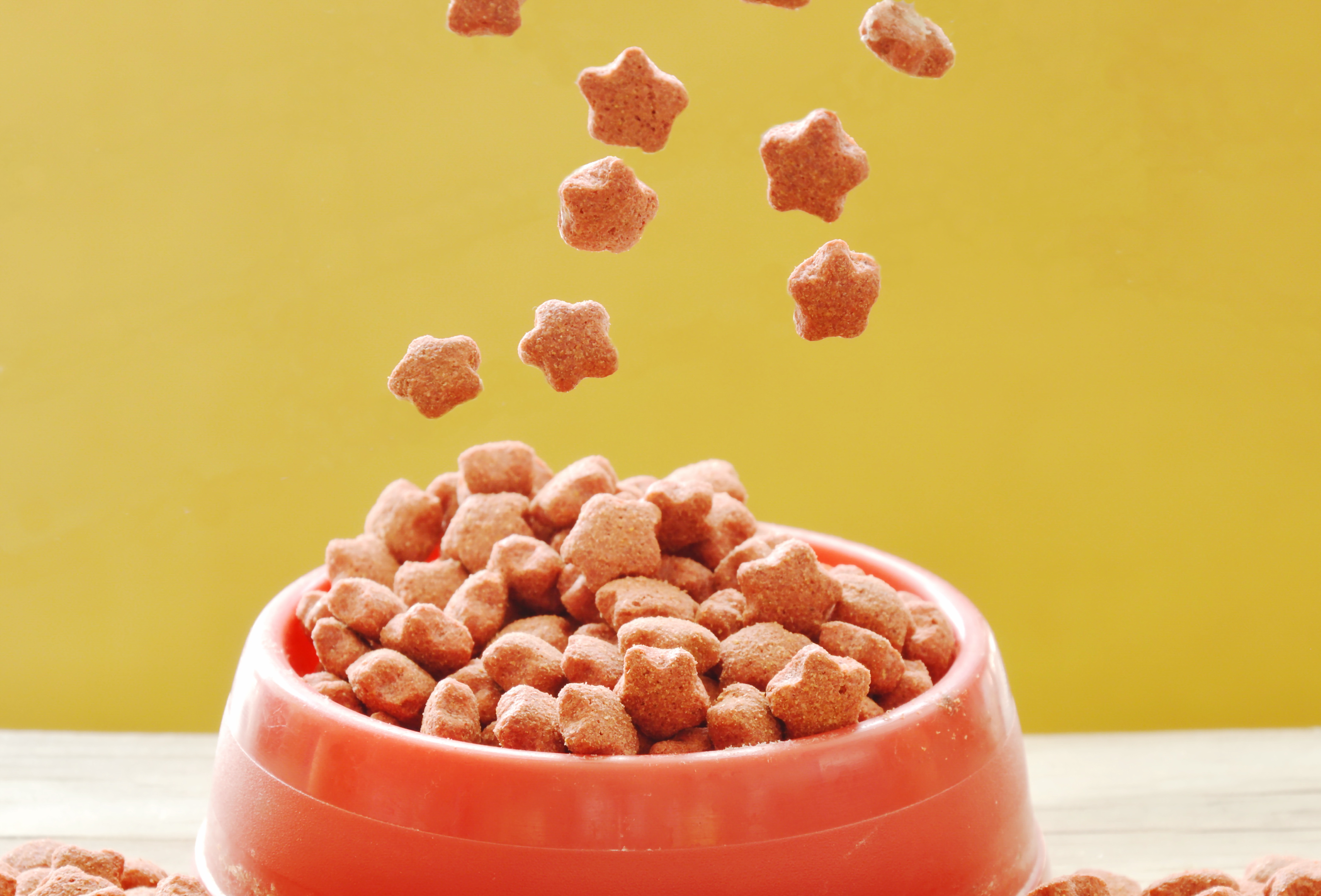 夏季选品趋势,选品最新