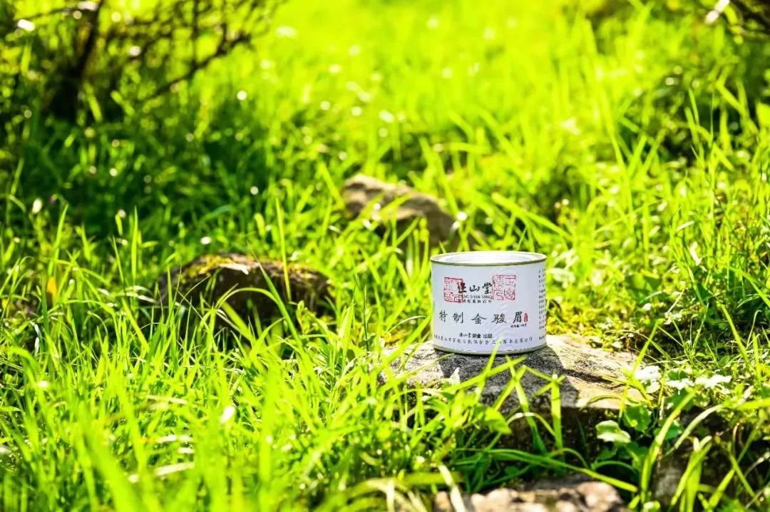 金骏眉深受大家喜爱的原因,真正的金骏眉是这样的