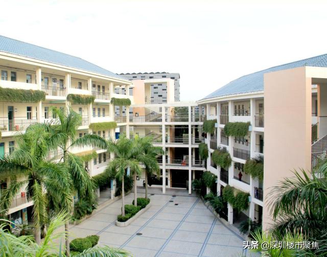 深圳盐田20年中考区状元,盐田区中考状元