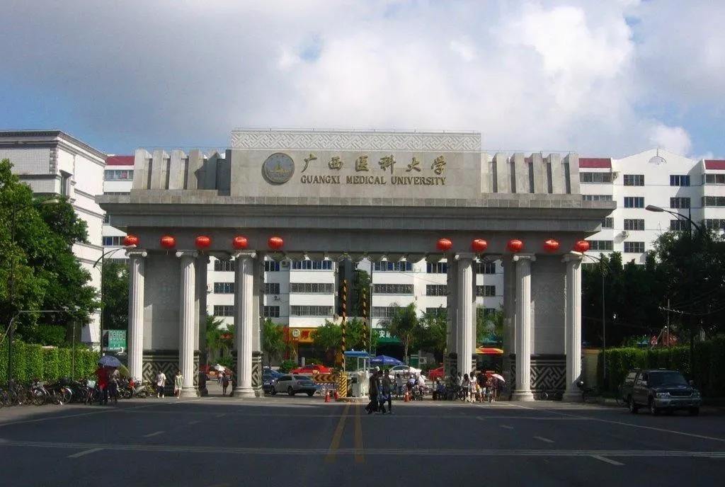 新高考志愿填报难吗,新高考志愿填报规则技巧大全