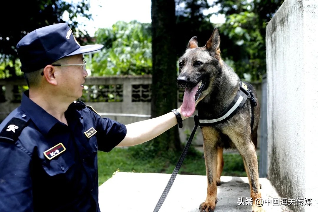 海关缉毒犬成长之路,海关总署缉私犬基地