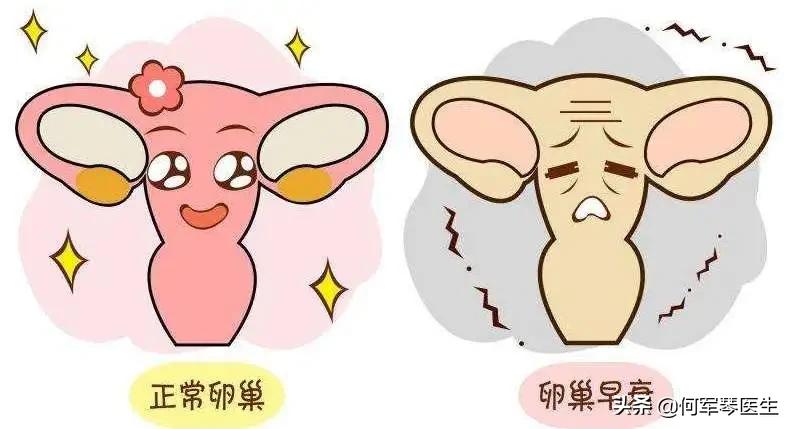 amh为什么每次结果不一样,amh为什么会越来越高