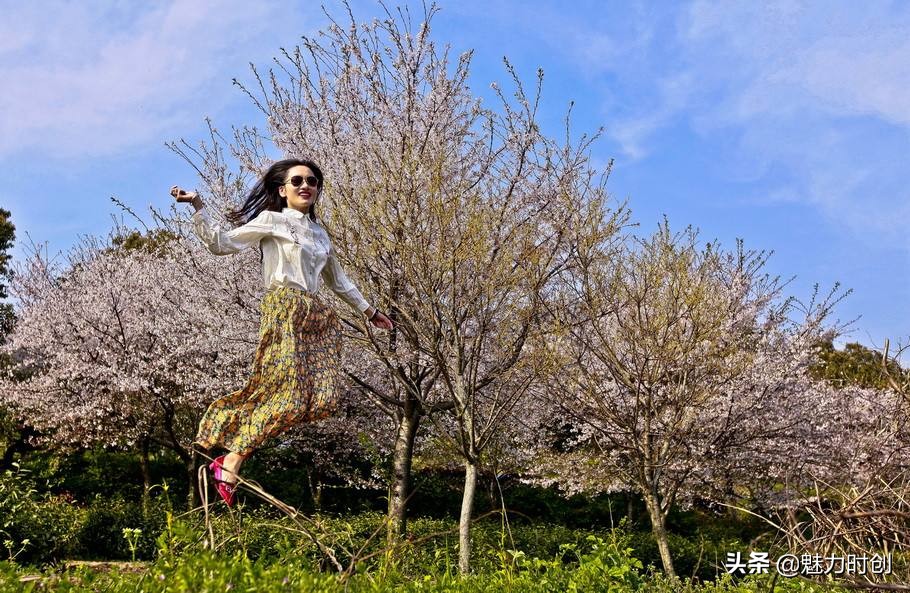 高素质红圈镜头,高画质挂机