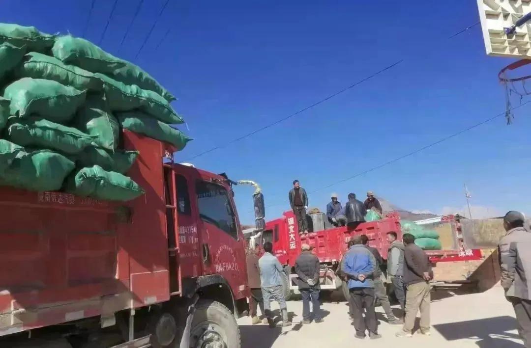 新闻晚高峰视频直播,新闻晚高峰播放时间