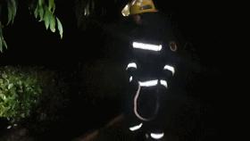 家周围频繁出现蛇是什么预兆,家附近老是有蛇怎样驱赶