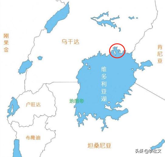 台湾榨菜哥深度解析,台湾榨菜哥谈蝗虫