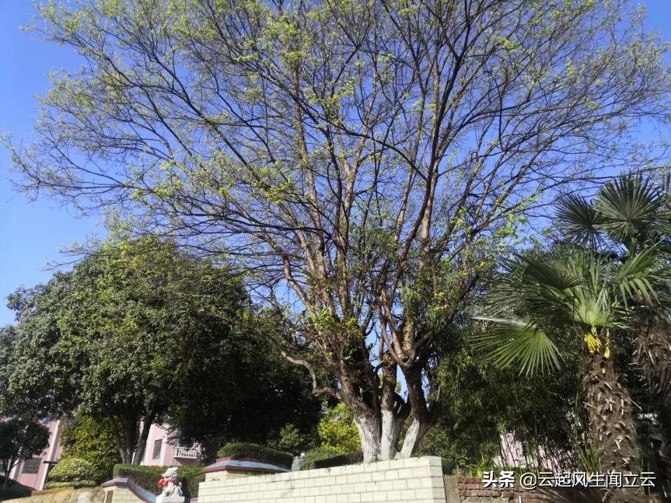 随州县城网红打卡地,随州市曾都区旅游景点