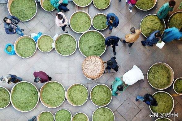 茶叶销售思路和方法,茶叶销售经营策略有哪些