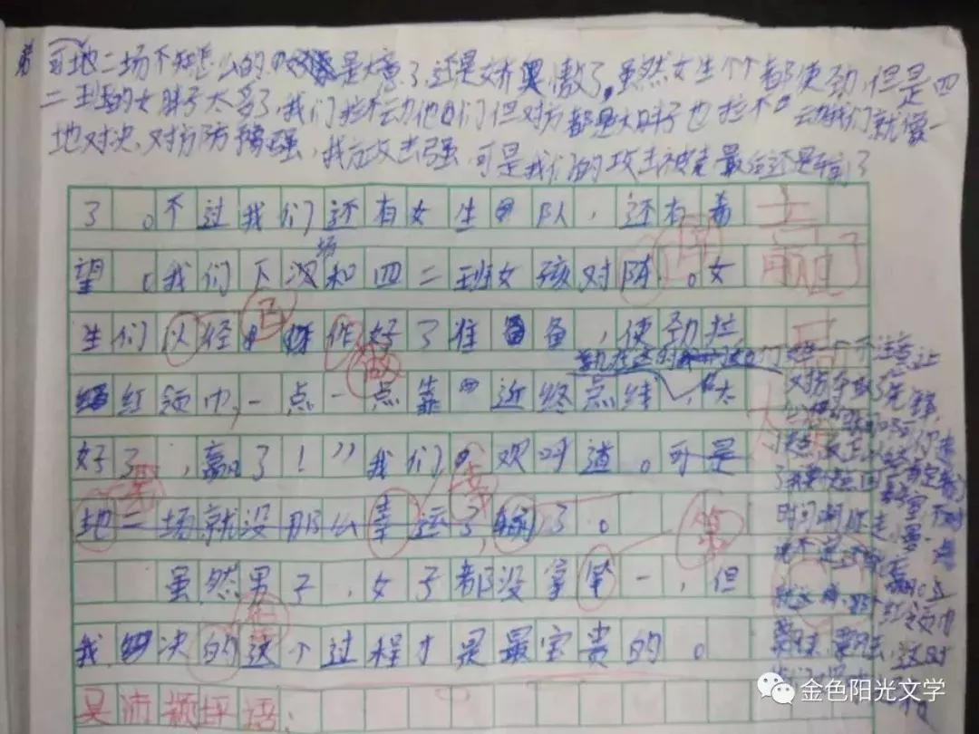 走进二维世界作文,二次作文