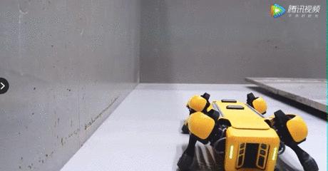 50万一只的波士顿机器狗,中国购买的波士顿机器狗