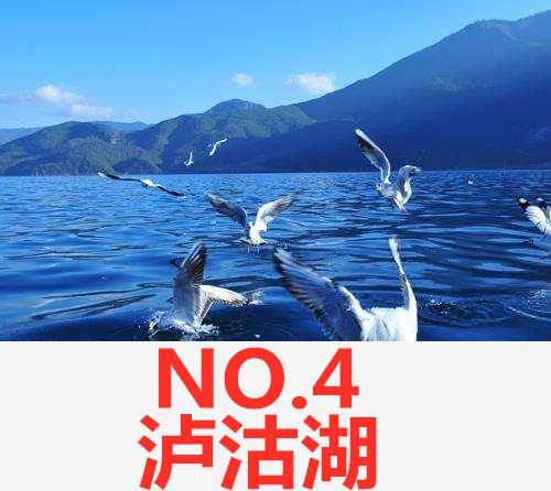 2022春节免费景点云南,云南春节景点