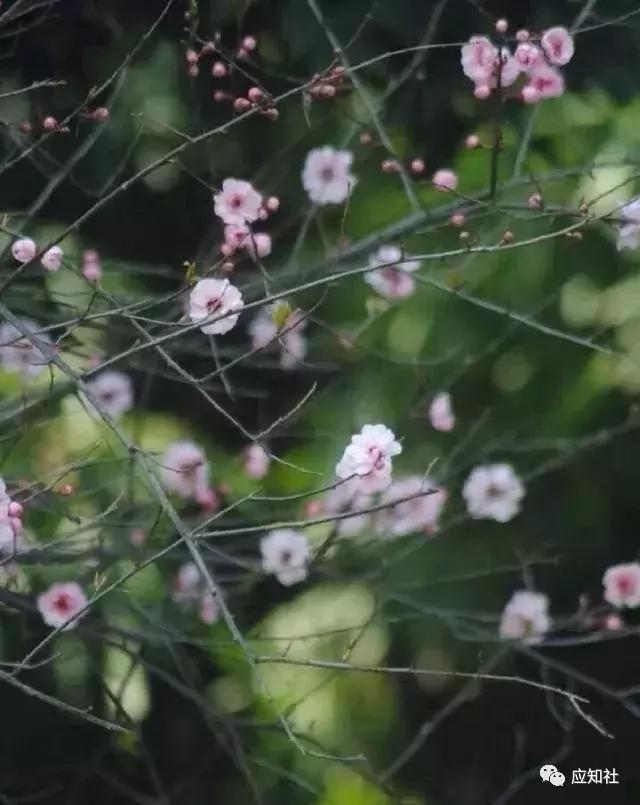 宁波踏青好去处自驾,宁波周边免费踏青爬山