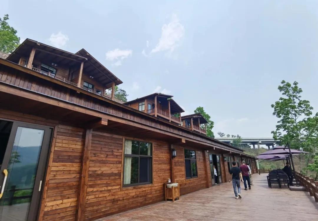 昔逐红尘千里归,昔逐红尘千里归出自哪里