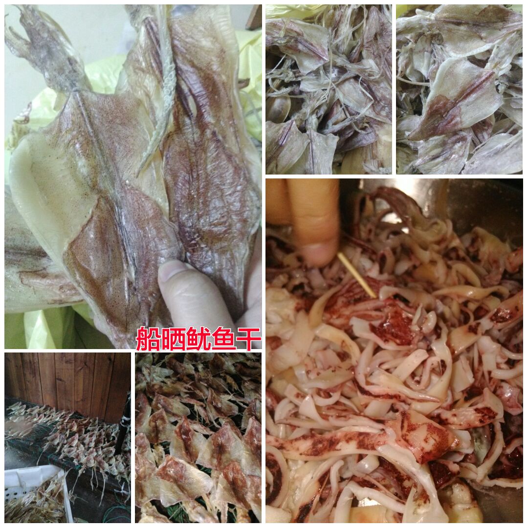 海陵岛闸坡渔港,海陵岛闸坡世界级渔港码头