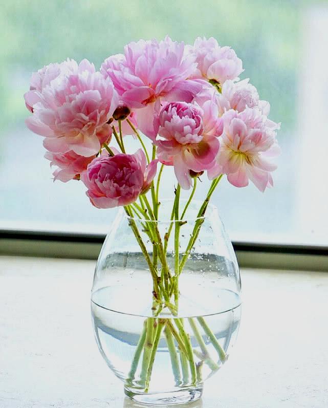 职场爱情43集完整版,职场爱情34集