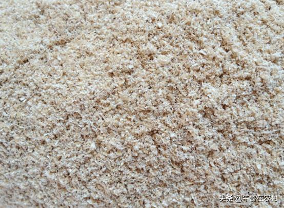 为什么土鳖那么贵,土鳖为什么那么贵