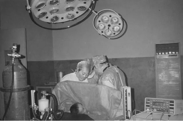 莆田历史文化的典故,莆田系家族一览表